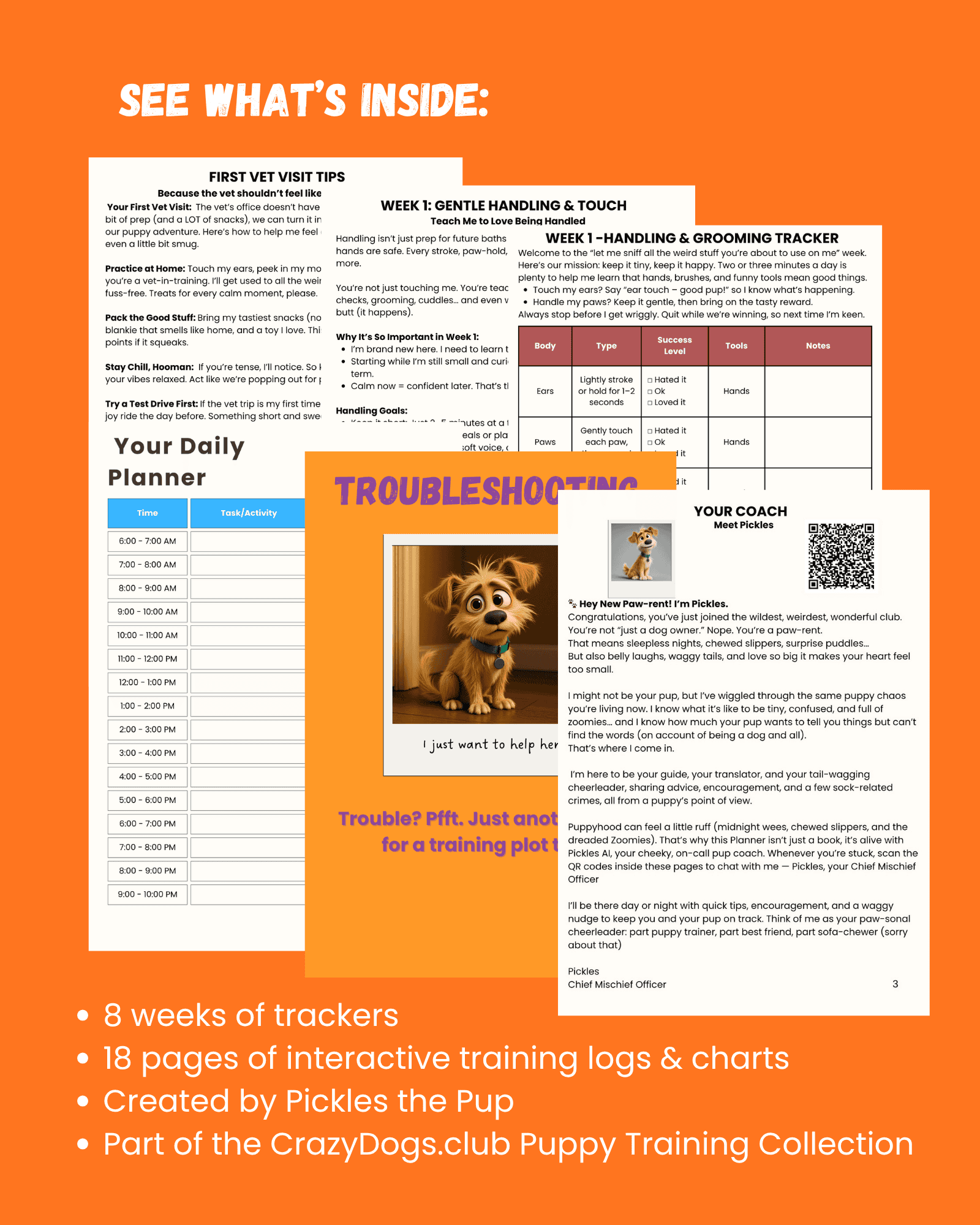 Grooming Guidance - Image 2